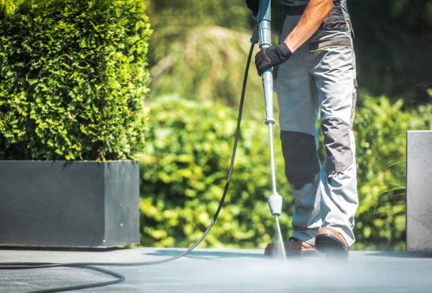 Best Restaurant Pressure Washing  in Robstown, TX