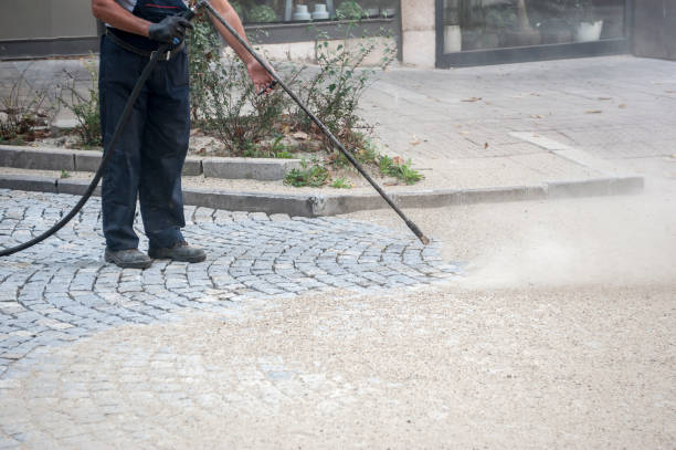 Best Warehouse Cleaning  in Robstown, TX