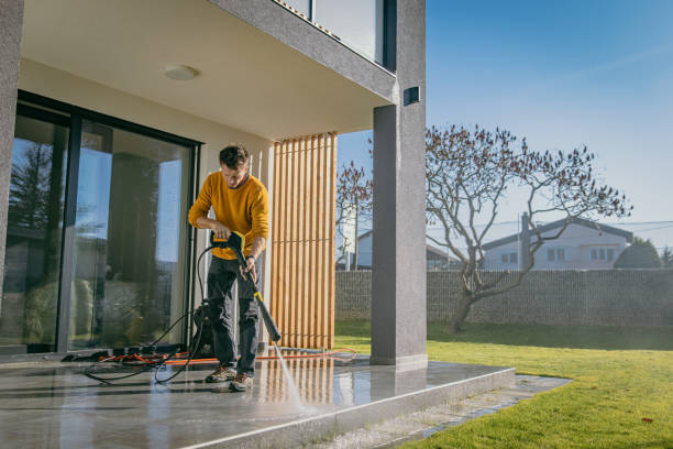 Best Building Exterior Washing  in Robstown, TX