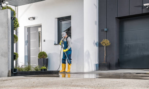 Best Paint Preparation  in Robstown, TX